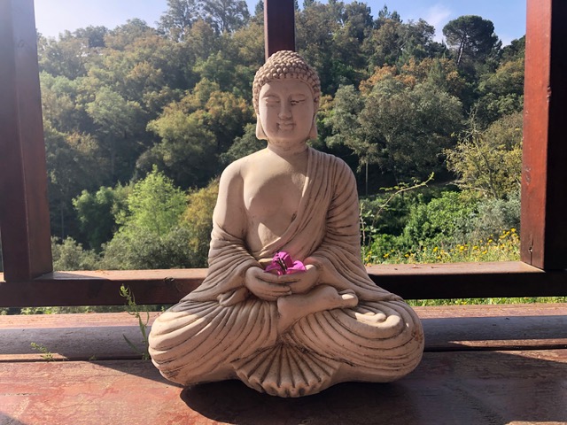 Buddha quer